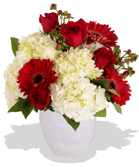 red roses gerbera daisies white hydrangea in a white vase