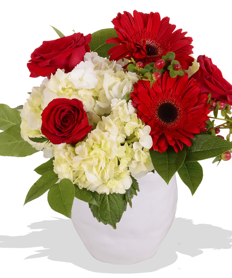red roses gerbera daisies white hydrangea in a white vase