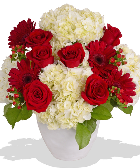 red roses gerbera daisies white hydrangea in a white vase