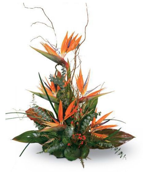 Birds of Paradise Tropical Foliage Arrangement delivered Baton Rouge, LA