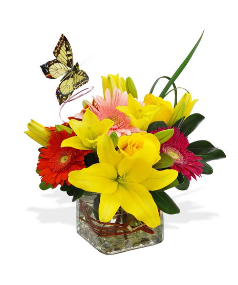 lilies daisies cube arrangement delivered baton rouge LA