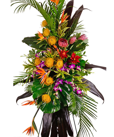 Exotic Grace Standing Spray