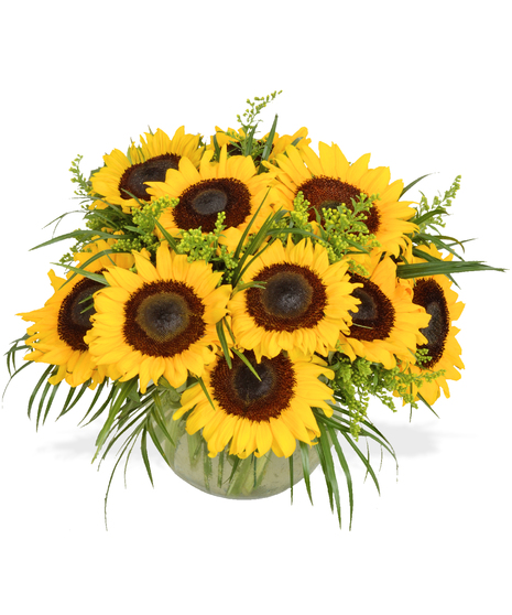 Sunflowers arranged glass bowl delivered baton rouge LA