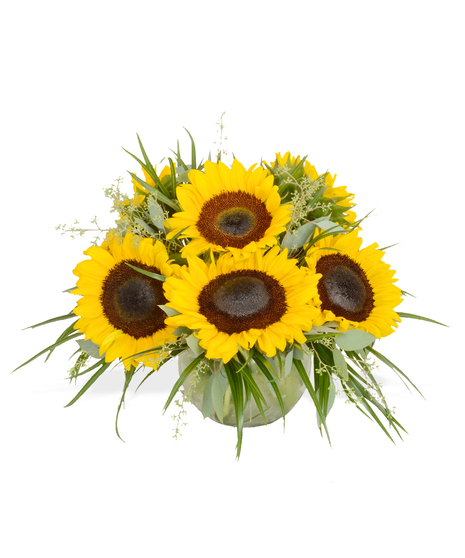 Sunflowers arranged glass bowl delivered baton rouge LA