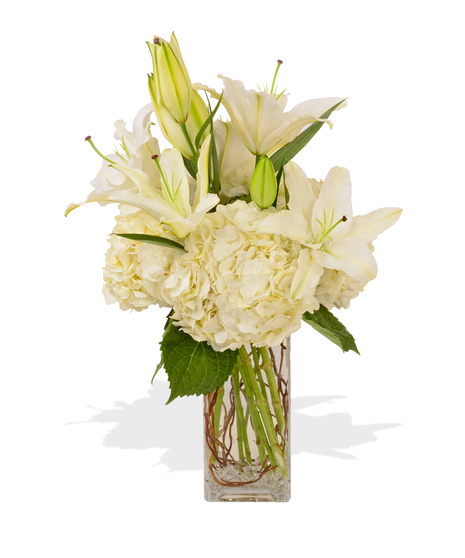 Hydrangea and Lilies - Sweet Solace