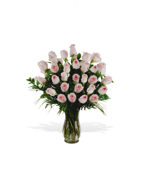 Premium Pink Roses - 12 or More